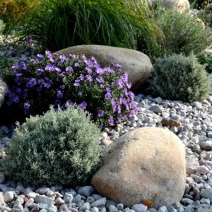 bountiful-utah-landscape-xeriscaping