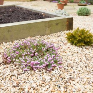 kaysville-utah-landscape-xeriscaping