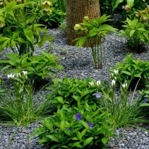 layton-utah-landscape-xeriscaping