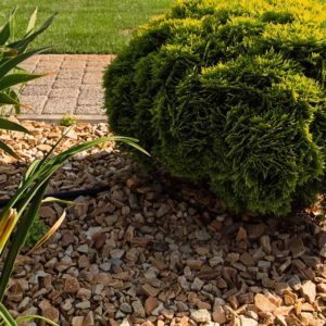 lehi-utah-landscape-xeriscaping