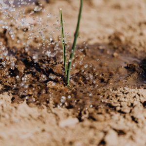 park-city-utah-topsoil-delivery